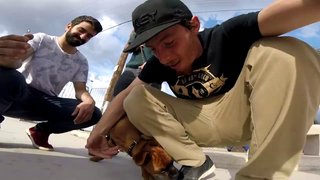 "fTR_Crew Labs" Edit #7