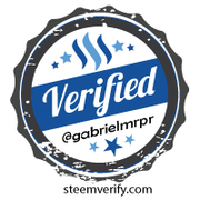 Purple Roses a Duotone photography