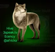 Dhole wolf in the wildlife🐺🐻🐰🐭🫎