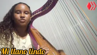 "Mi Llano Lindo" Folk music of Venezuela - Instrumental harp cover by @yoxibeth