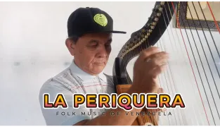 " La Periquera"- Folk Music of Venezuela // Harp instrumental // - cover by @ramonpaez