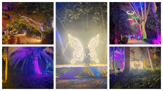 The Blue Caterpillar and its violin lessons. 🦋🎻