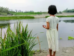 Nature seems to be spreading green colors