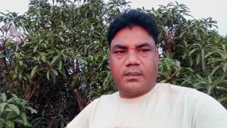 A very unique view of the small buds of the mango tree and the small buds of the jam tree.