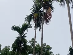 A video of the Kalbaisakhi storm and thunderstorms accompanied by lightning