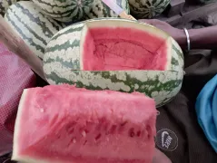 A wonderful video about watermelon, a favorite summer food