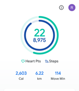 My Daily Activity Report: March 21 2026