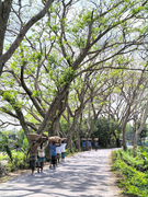 My Actifit Report Card: April 10 2026