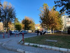 Late Autumn Walk - Geç Sonbahar Yürüyüşü [EN-TR]