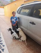 El Silencio de la Generación Alfa.