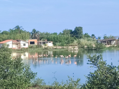 Un momento de paz en la Costanera /  A moment of peace on the waterfront [Esp/Ing]