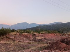 Incredible photos I took during a morning walk at my friend's university