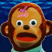 Say happy anniversary to "Hoard TP"...