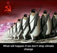 He knew, did they know