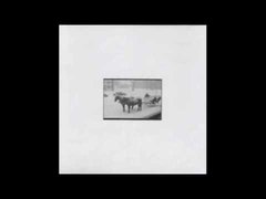 Three Tune Tuesday with Ashlee!!! 12/19/23