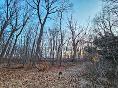 My Actifit Report Card: March 19 2026