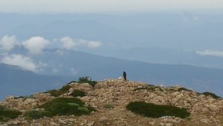 My Actifit Report Card: June 6 2025