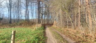 Tough but fun! - My Actifit Report Card: December 30 2025