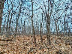 My Actifit Report Card: March 16 2026