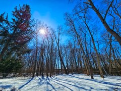 My Actifit Report Card: March 1 2026