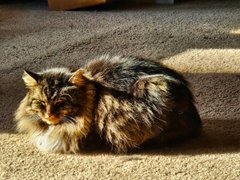 Now that's cold! My Actifit Report Card: January 23 2026