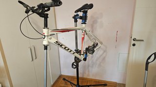 My Actifit Report Card: November 26 2025