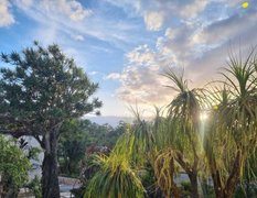 My Actifit Report Card: October 16 2024