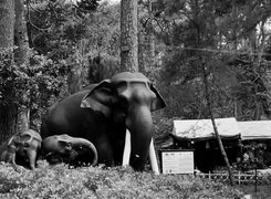 My Actifit Report Card: May 18 2023