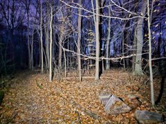 My Actifit Report Card: March 12 2026