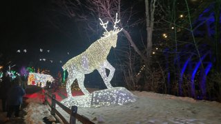 Actifit Report 300326 At the Market