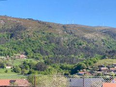 My Actifit Report Card: March 17 2026