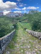 My Actifit Report Card: March 29 2026