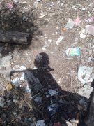 Physical activity in home.My Actifit Report Card: April 11 2026