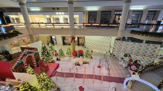 My Actifit Report Card: February 17 2026