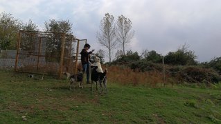 My Actifit Report Card: November 26 2025