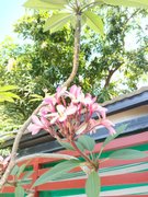 My Actifit Report Card: April 10 2026