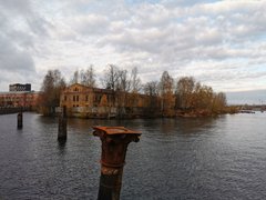 My Actifit Report Card: October 24 2021 Питер