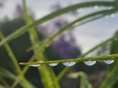 My Actifit Report Card: October 16 2024