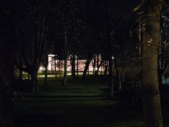 (ENG-CZE) My Actifit Report Card: April 14 2026