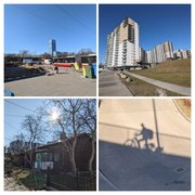 My Actifit Report Card: March 6 2025