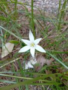 My Actifit Report Card: March 25 2026