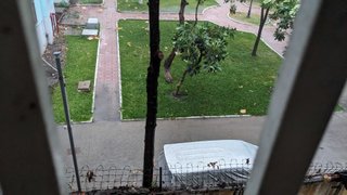 My Actifit Report Card: May 15 2024