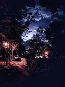 My Actifit Report Card: October 13 2019