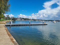 My Actifit Report Card: March 24 2026