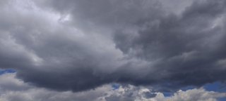 My Actifit Report Card: April 1 2026