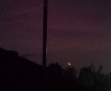 My Actifit Report Card: March 20 2026