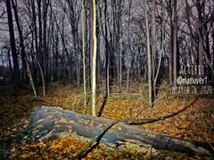 My Actifit Report Card: March 26 2026