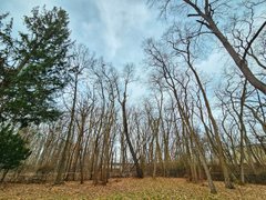 My Actifit Report Card: March 22 2026