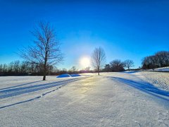 Kensington Metropark - My Actifit Report Card: February 8 2026