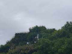 My Actifit Report Card: March 25 2026